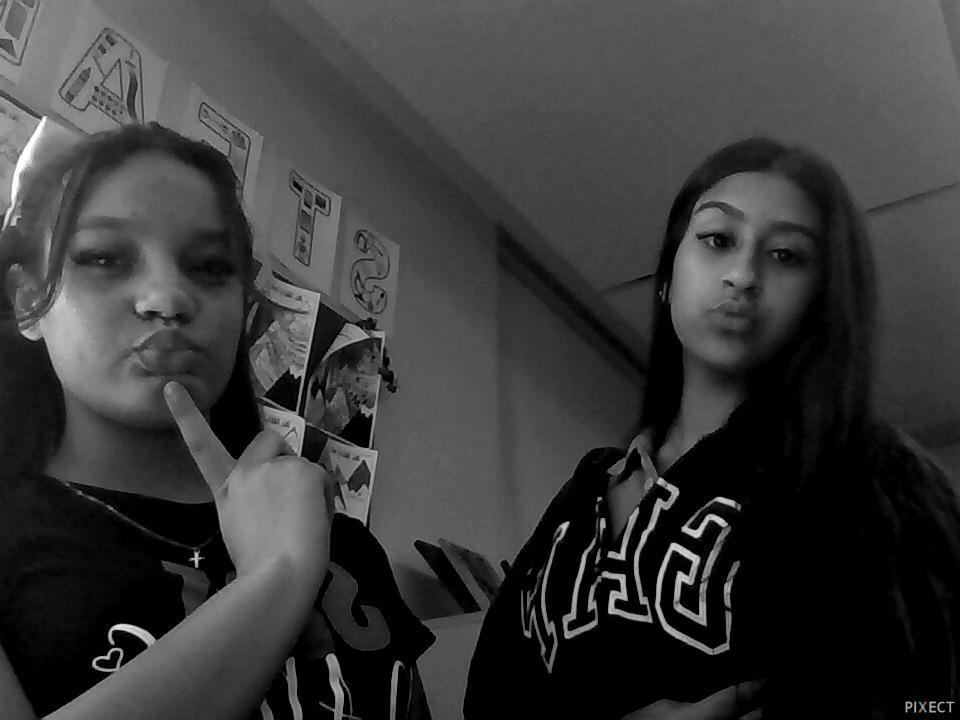 Pixect gallery photo #cCisROO3d