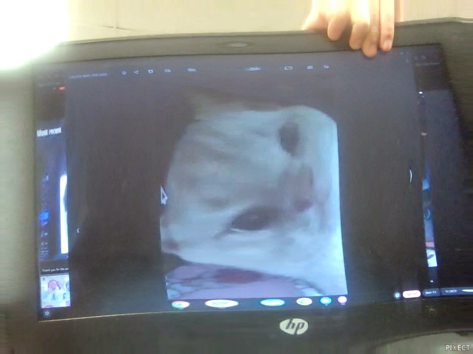 Pixect gallery photo #cfKvcOhr9