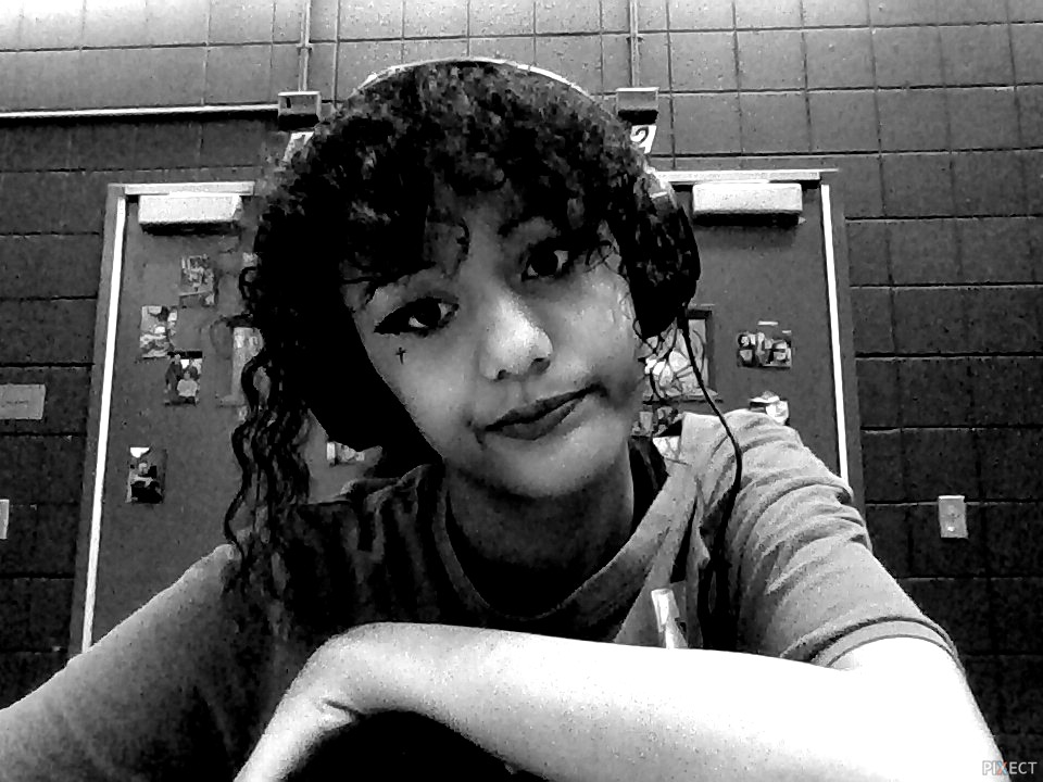 Pixect gallery photo #equGqoX5G