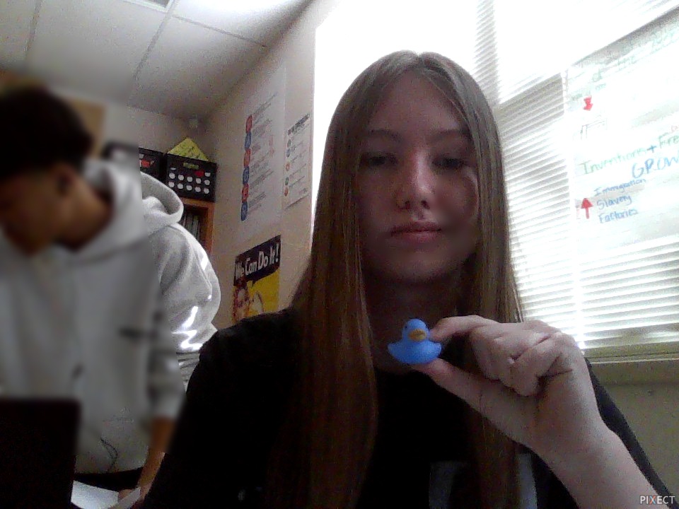 Pixect gallery photo #falgUigk9