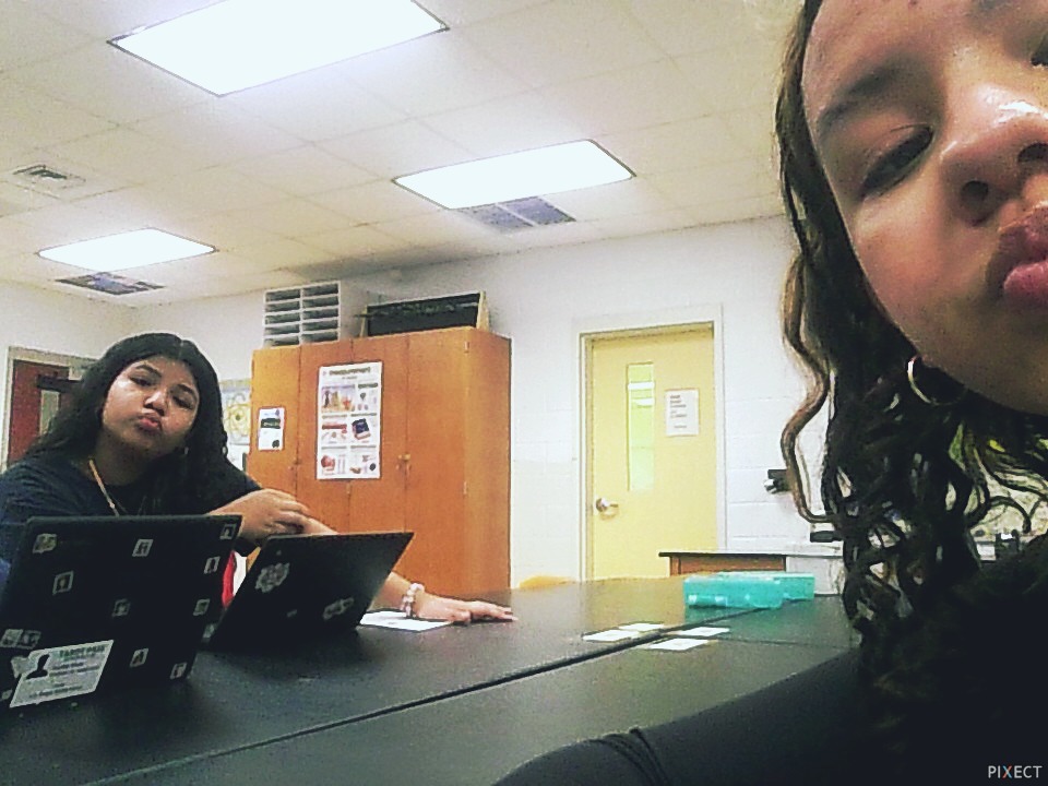 Pixect gallery photo #gDx1asNo