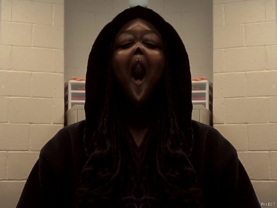 Pixect gallery photo #iFhqqL529