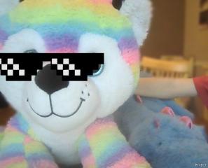 It is on of my pictures, just cropped