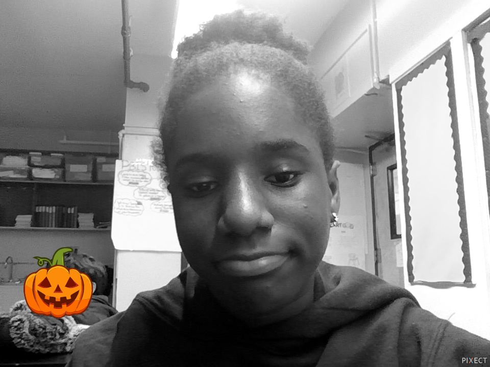 Pixect gallery photo #iZa4VR19d