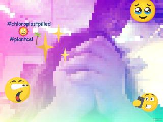 chloroplastpilled plantcelmaxxing