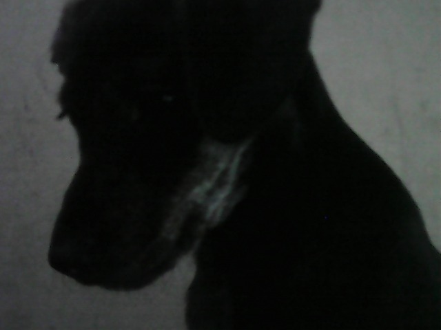 Pixect gallery photo #ixOjIXd