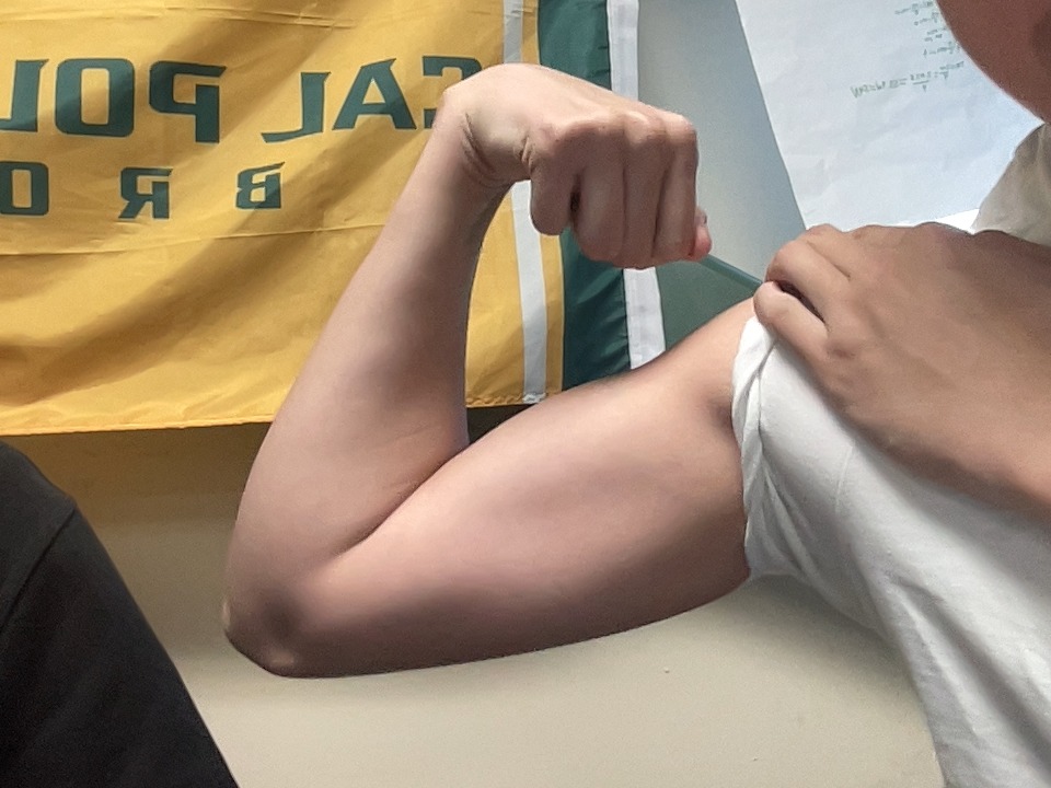 Pixect gallery photo #jBIohhkWd