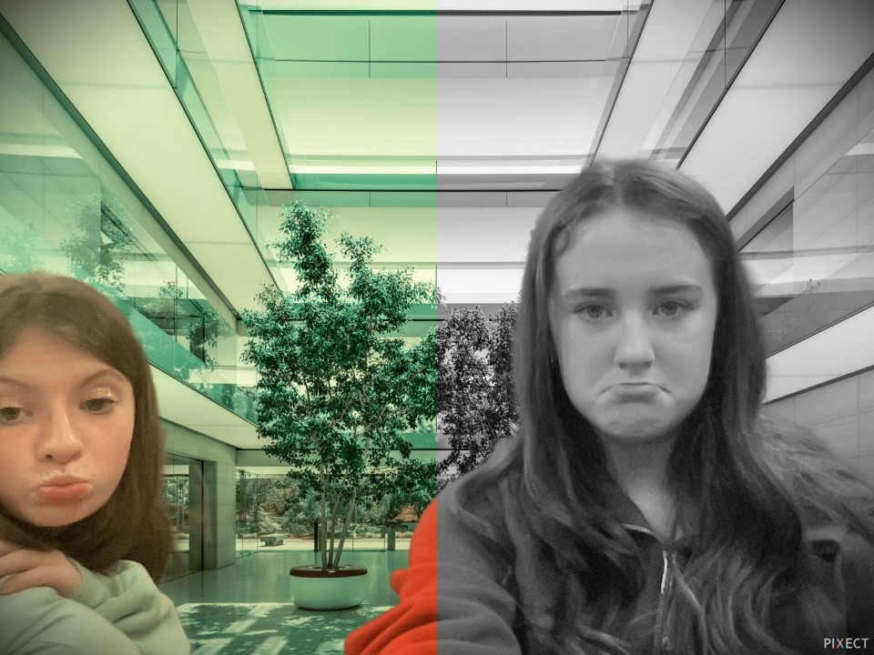 Pixect gallery photo #jZsqRv4H