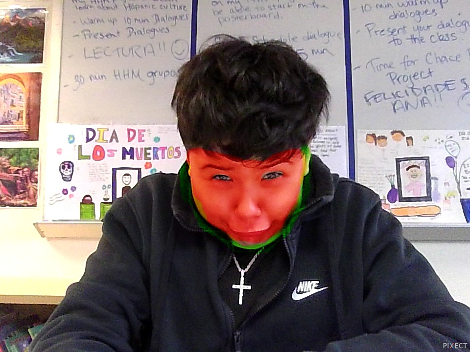 Pixect gallery photo #ksLO0T0W