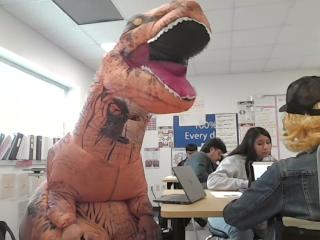DINO DINO