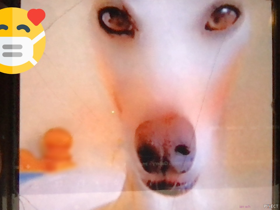 Pixect gallery photo #n7nCCTCsG