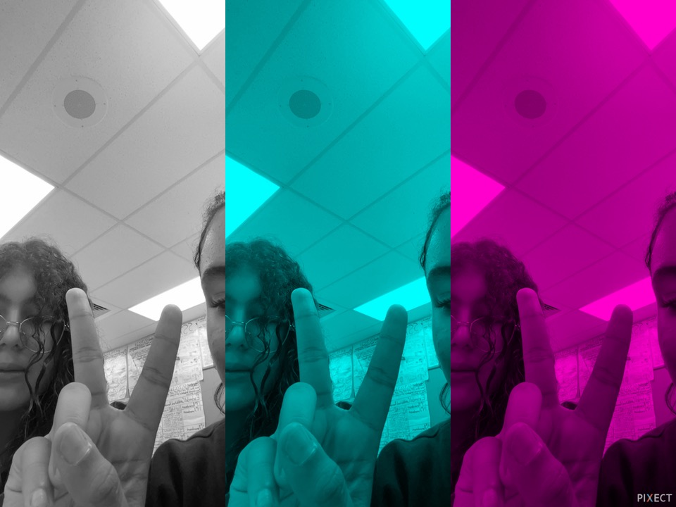 Pixect gallery photo #nAPeuTLGd