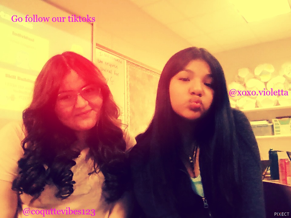 Pixect gallery photo #oT638dbu