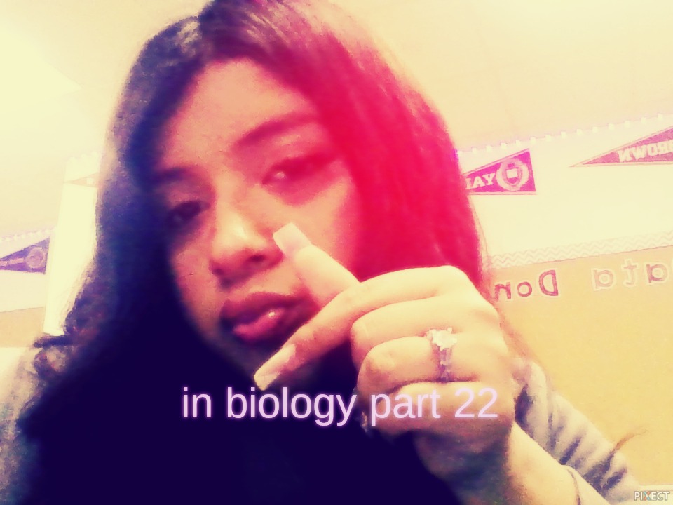 Pixect gallery photo #okiWX7BPW