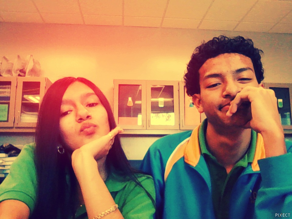 Pixect gallery photo #ovijZNoid