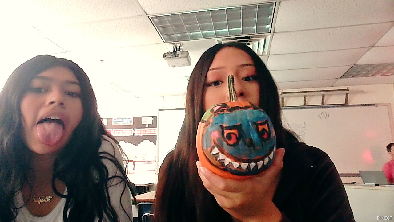 Pixect gallery photo #pB5dzT0W