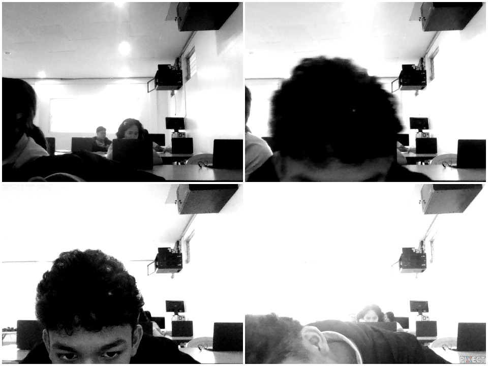 Pixect gallery photo #rxVSMFfD