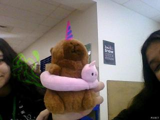 UNICORN CAPYBARAAAAA