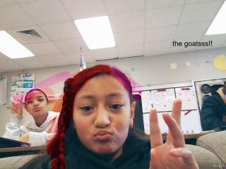 goatsss