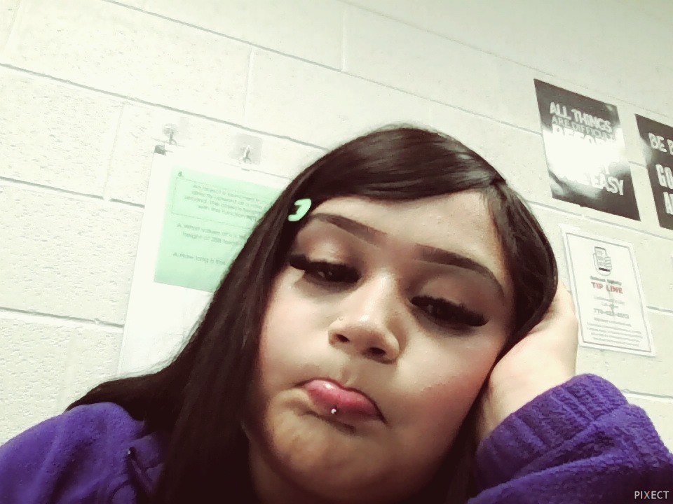 Pixect gallery photo #vI6gTL529