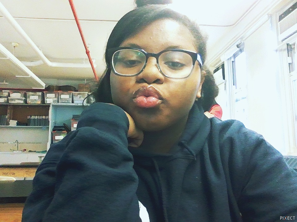 Pixect gallery photo #vJ87Y1P7