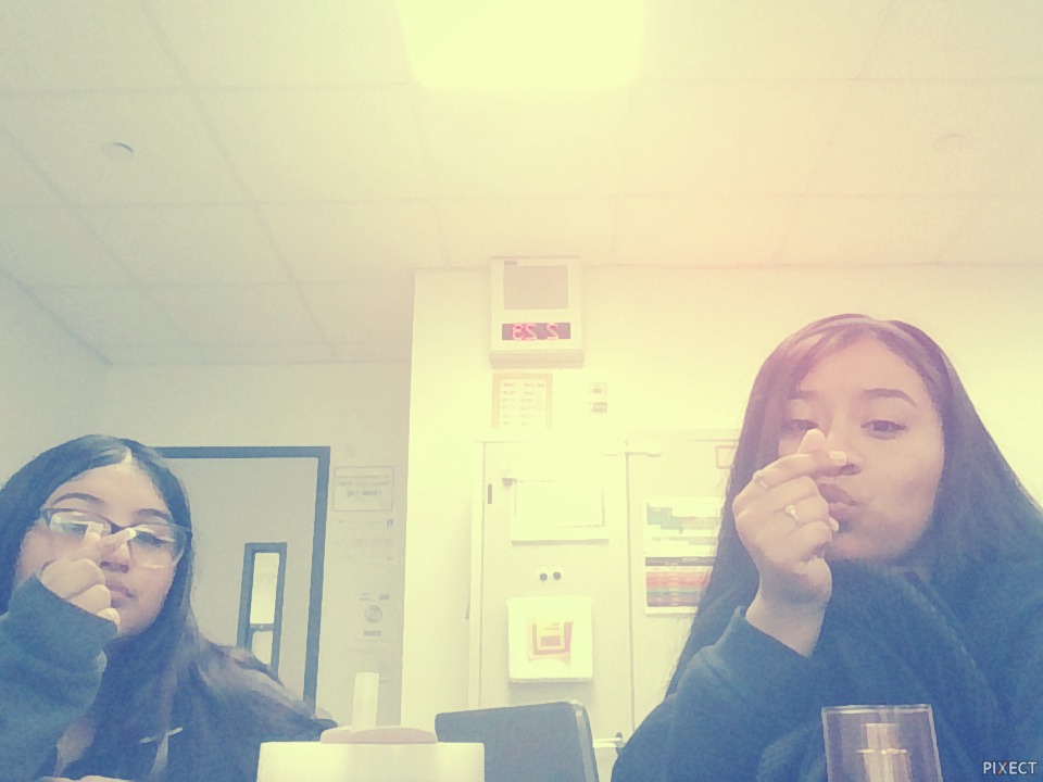 Pixect gallery photo #wX3fKiYM