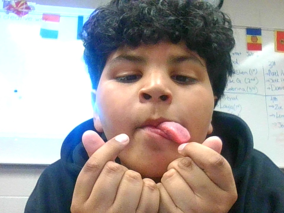 Pixect gallery photo #wxu5OZEVW