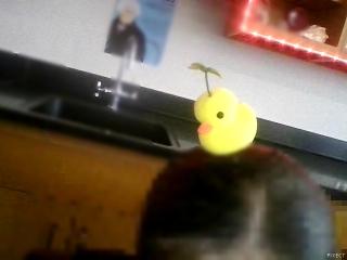 ! ON MY DUCKKKK ! ON MY DUCKKKK