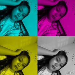Lucu Lucu