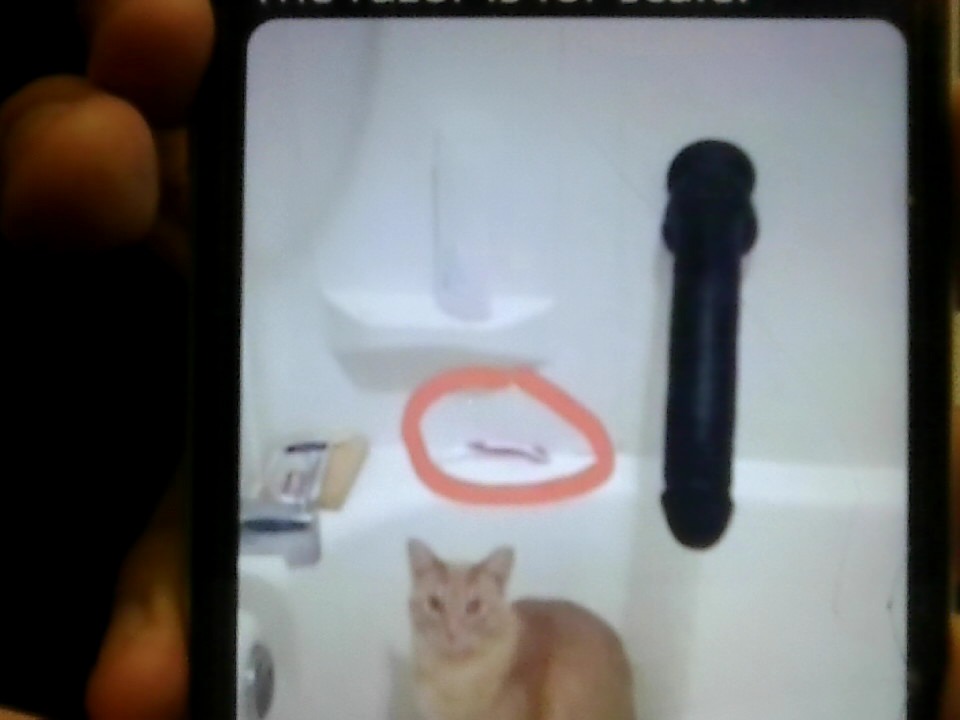 Pixect gallery photo #z3nf773Q