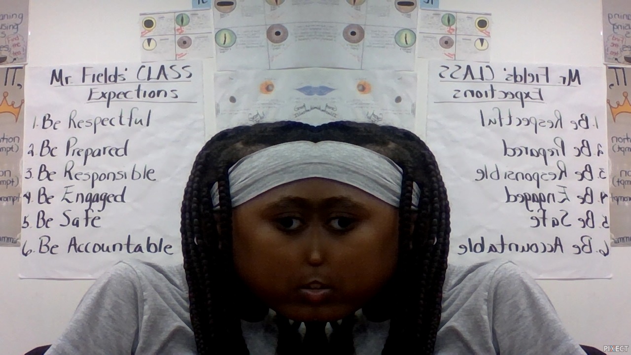 Pixect gallery photo #ze1dm8cRW